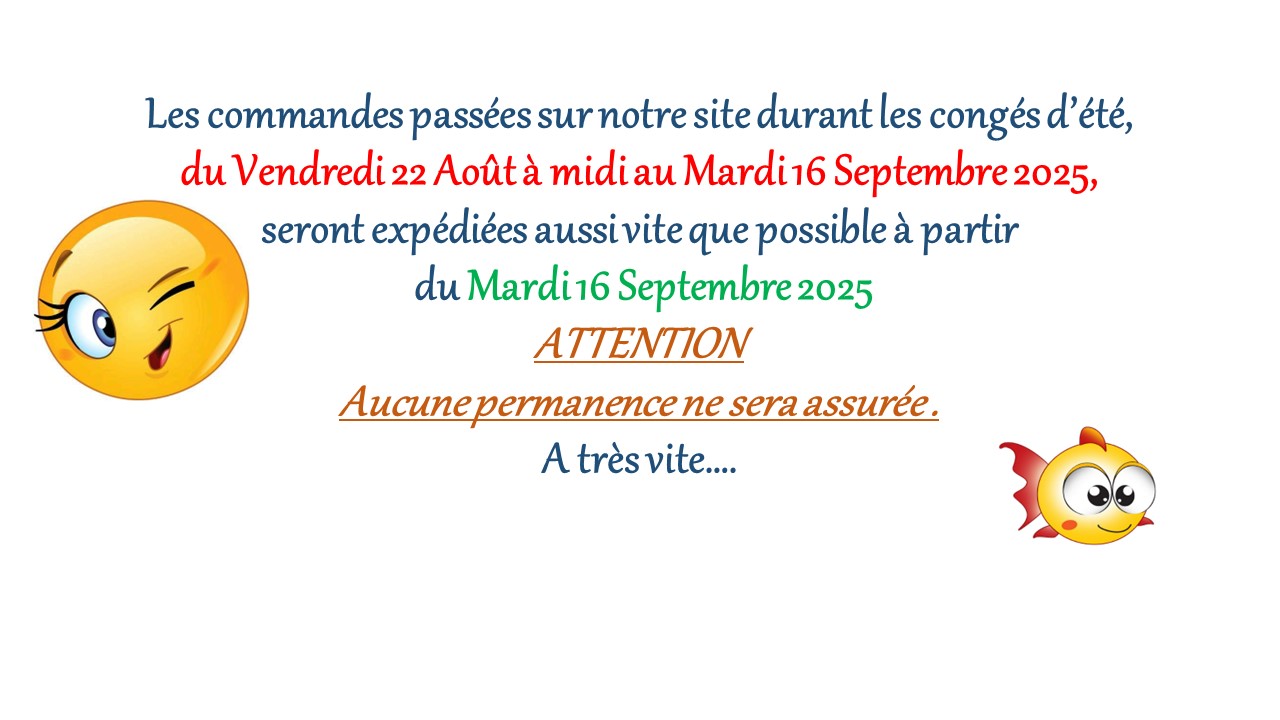 Congés d'Eté 2025